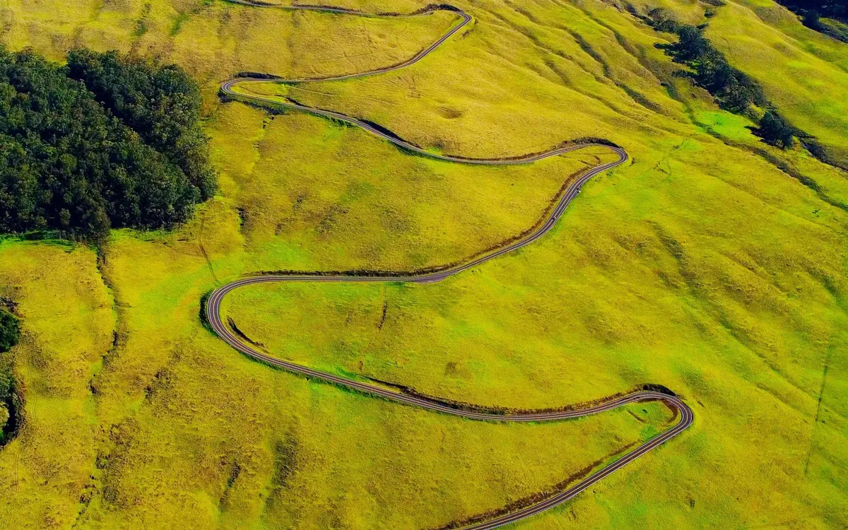A road winding in tight bends down a slope of bright green pasture, seen from above