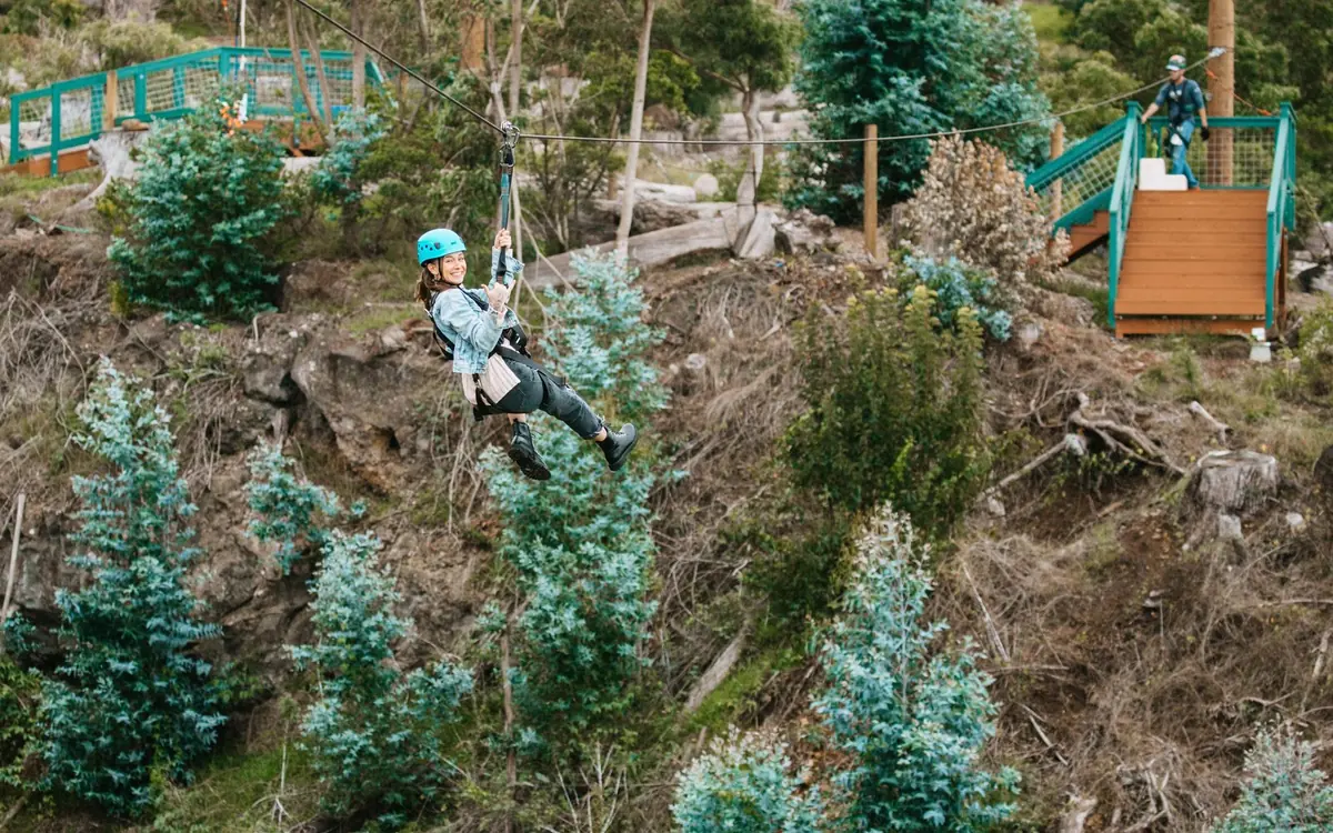 A zip-line cable running above green pasture and tall trees on the slopes of Maui